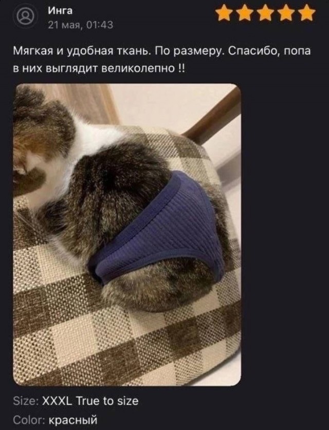 Всего понемногу. От 14.08.23