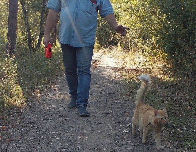 Котомемы 29.09.23