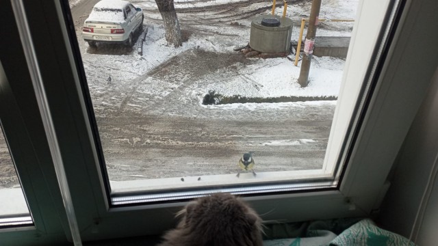 Это 100 % сосредоточенность