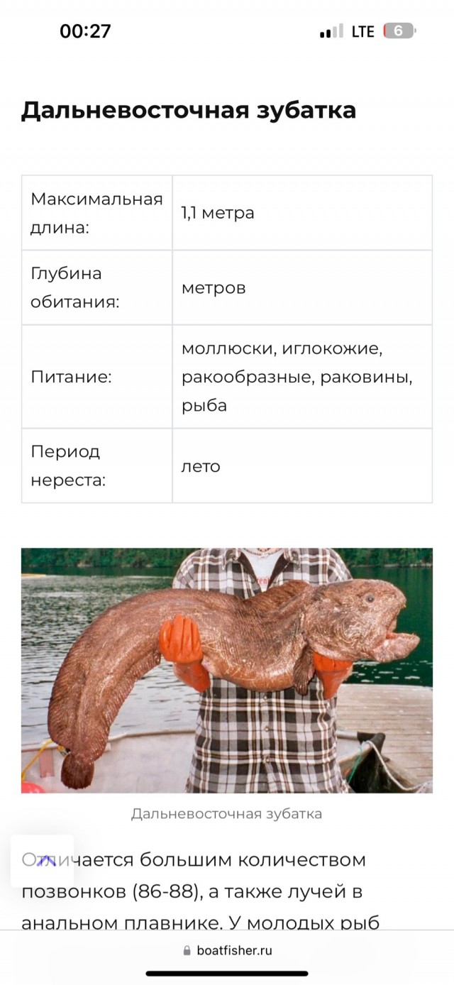 Что за рыба?