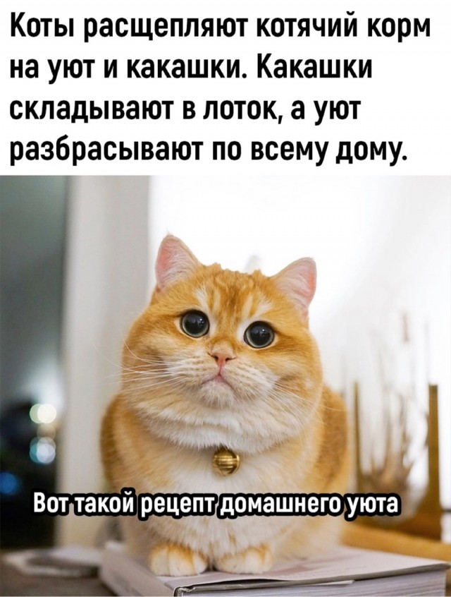 Отряд быстрого деградирования