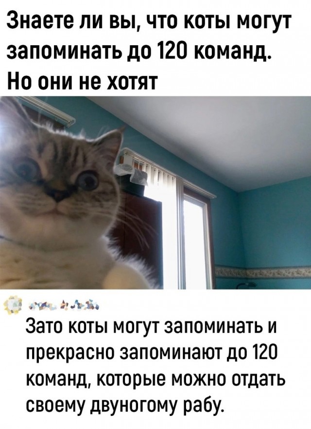Так себе картинки 05.06.24