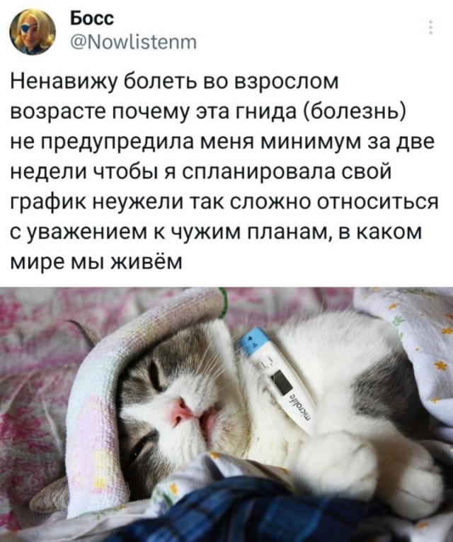 Весёлый полтишок 12.09.24