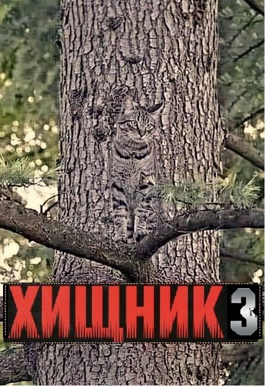 Картинки разные с надписями и без