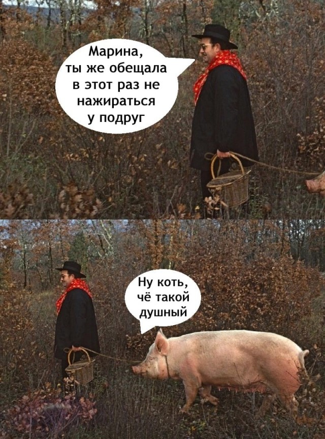 Картинок лопата от 25.10.24
