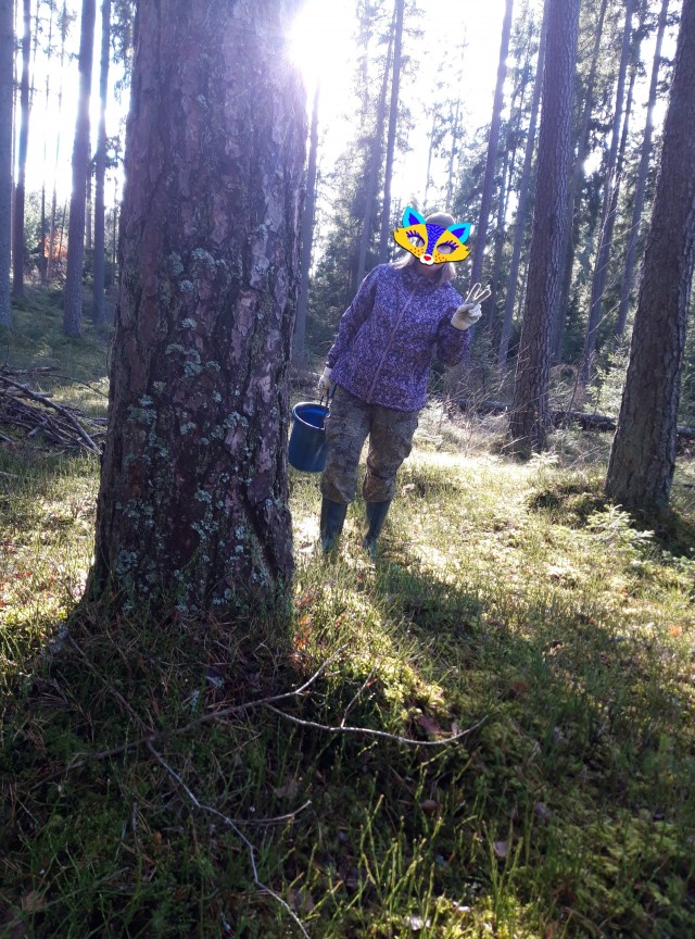 Ну вот и началась...