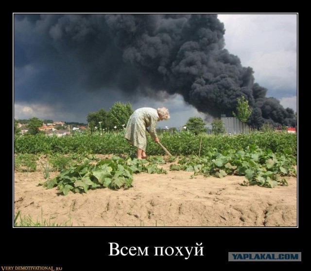 Путин развелся