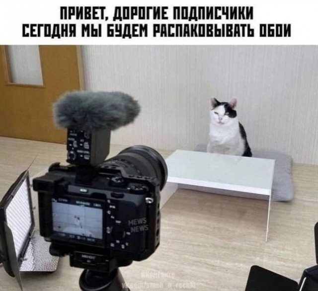 Картинки на вечер понедельника
