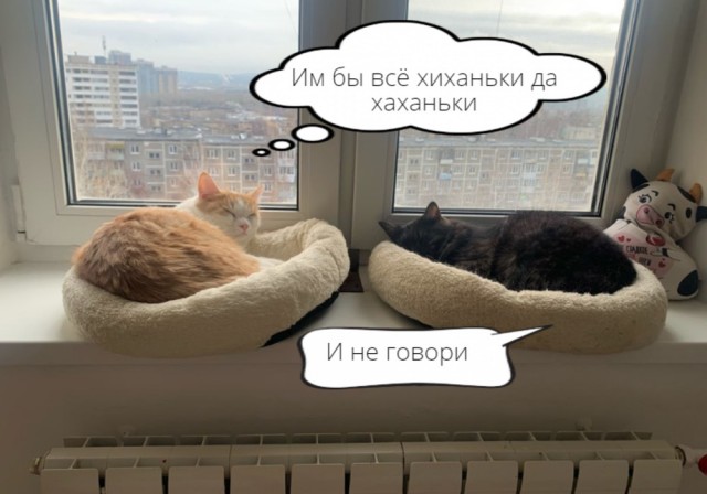 Фотосмесь 07.03.25