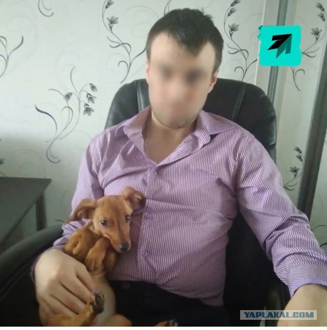 Домашняя такса насмерть загрызла младенца в Томске, пока родители спали.