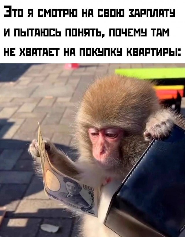 25 грустных, но жизненных мемов про зарплату