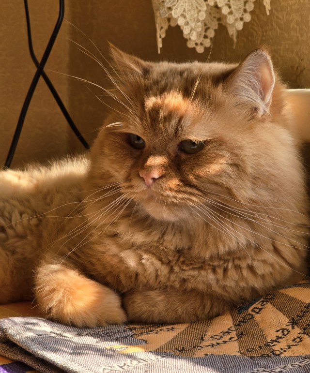 Здравствуйте!