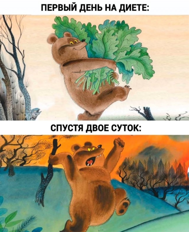 Картинки для деградации 41 (разной степени свежести)