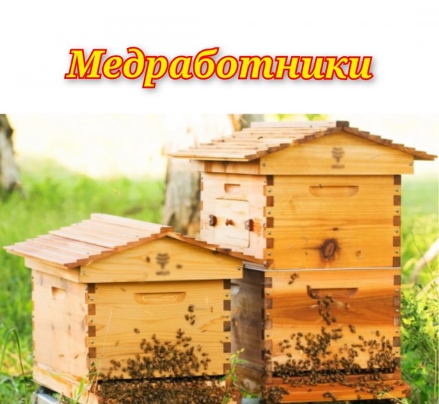 Картинок немного в среду утром