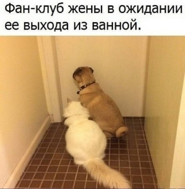 Так себе картинки 18.09.25