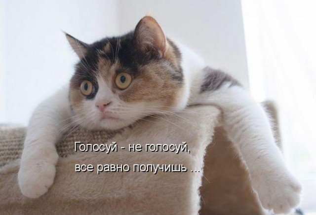Голосуем он-лайн, против повышения утильсбора на авто!