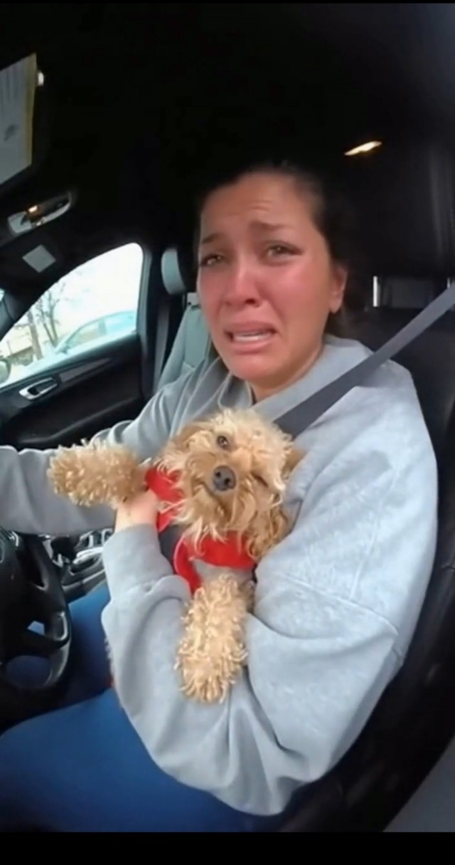 Полицейские в Америке спасли собаку