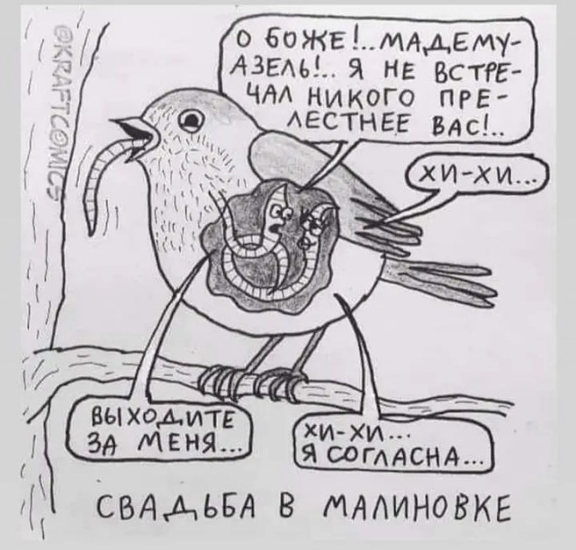 Среда обитания 0.1