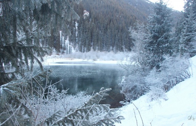 Фотопутешествия. ч.2 Казахстан. Кольсай.