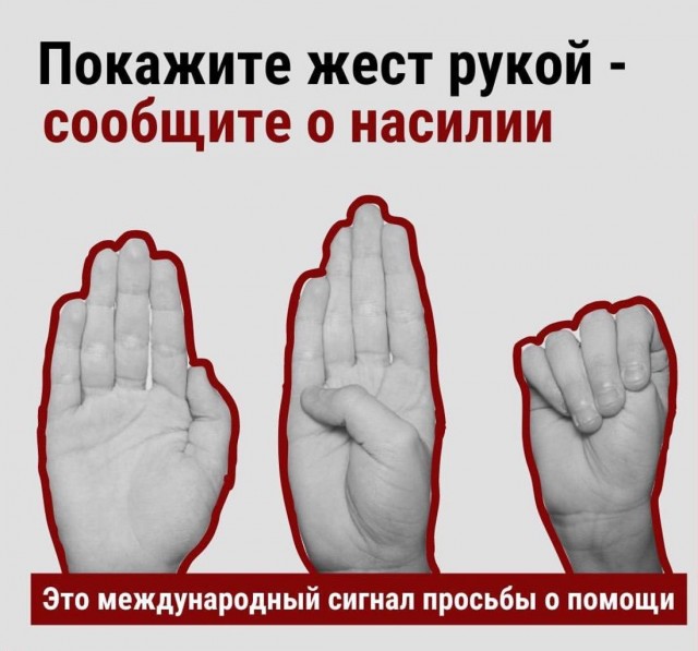 Повязали пернатого...