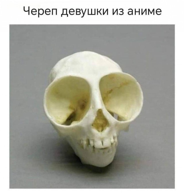 Немного картинок разной степени новизны и адекватности