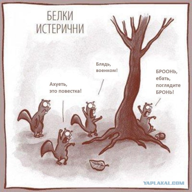 Комрады, нужен совет. Пришла повестка