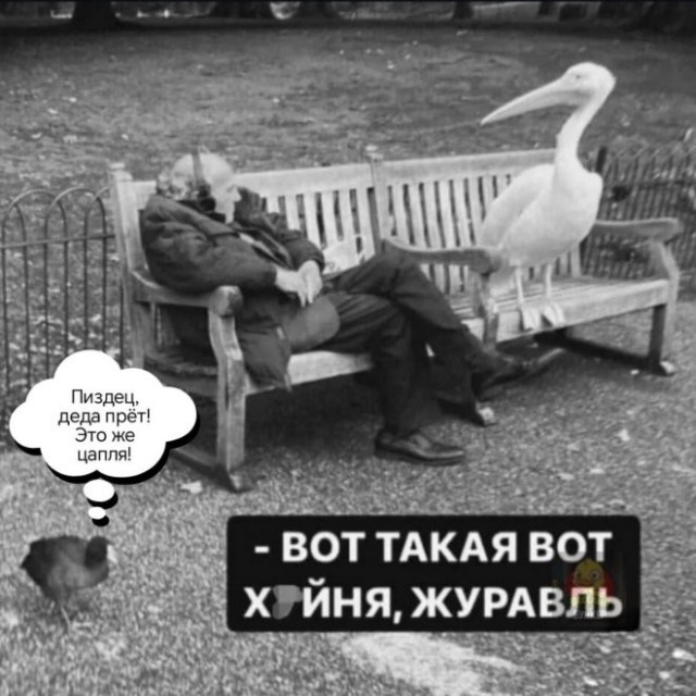 Картинки для деградации 238 (разной степени свежести)