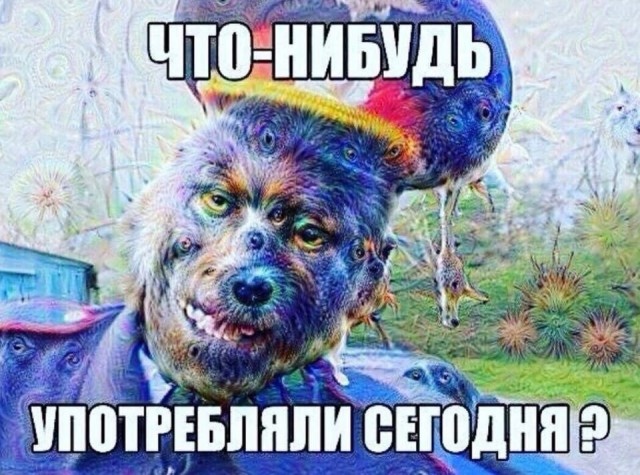 Куда едете? Конкурс на самый дебильный вопрос.