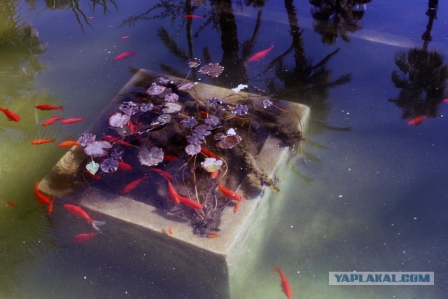 Новогодняя ночь в пустыне Сахара