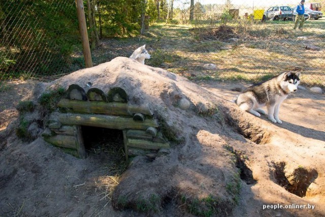 24-летний парень создает в белорусской глубинке