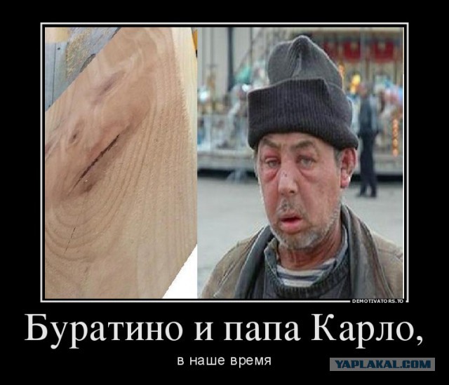 Пилить или не пилить