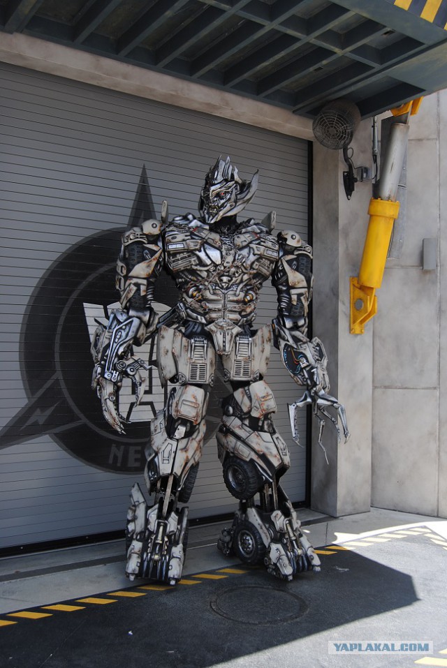 Каникулы во Флориде