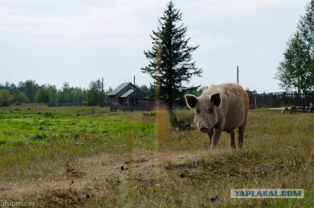 Десять дней без соц. сетей