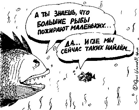 На Рыбалку!