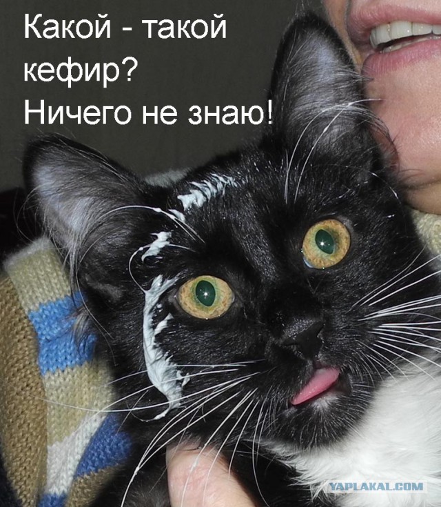 Лапки загребущие
