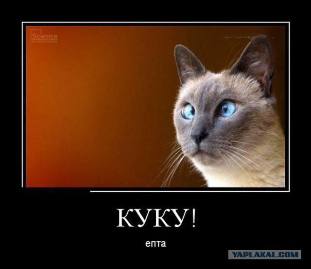Улыбнёмся?:)
