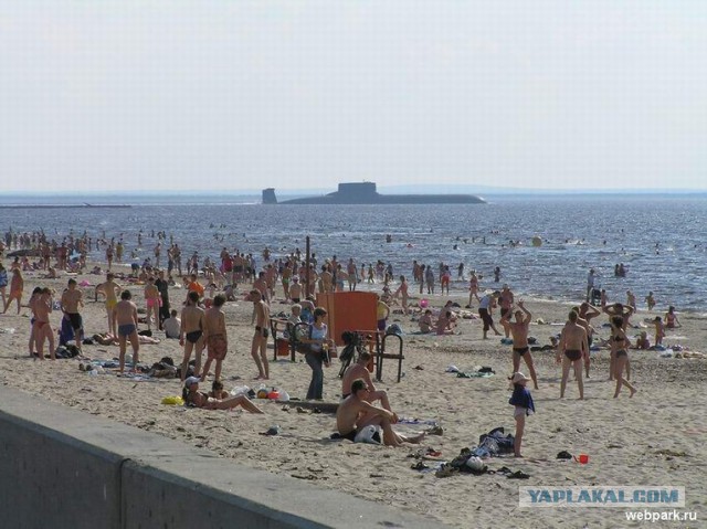 Сюрприз на рыбалке