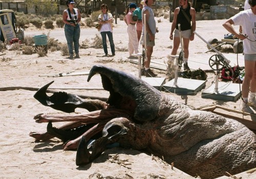 «Дрожь земли»... 25 лет спустя