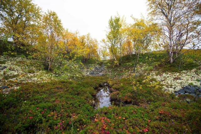 Поездка на Кольский полуостров.