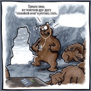 Все о МЕДВЕДЯХ