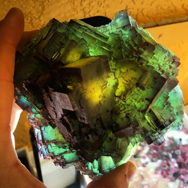 Интересные и веселые картинки