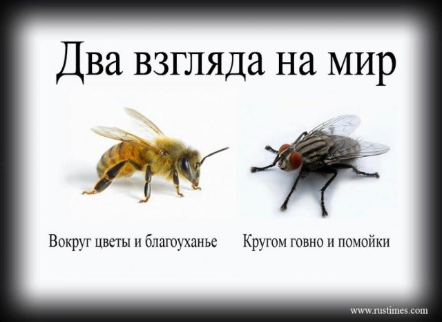 Амстердам, в котором не хочется жить