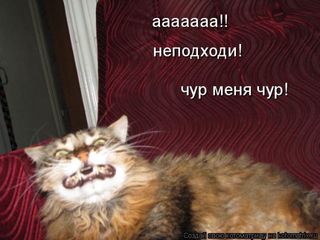 Олигархи, трепещите! Жуткая мукла-охотница за олигархами - Сандра Бурмистрова