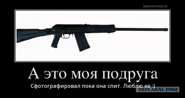 ВПО-208 — гладкоствольный СКС