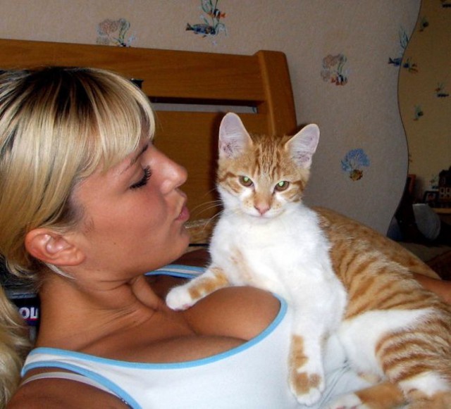 Коты и Кошки