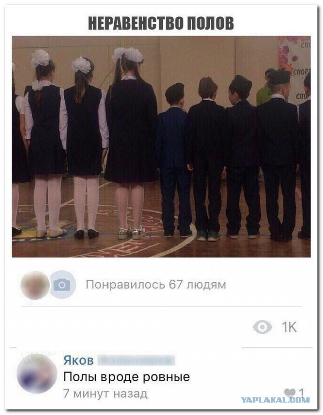 Подборка смешных комментариев из сети