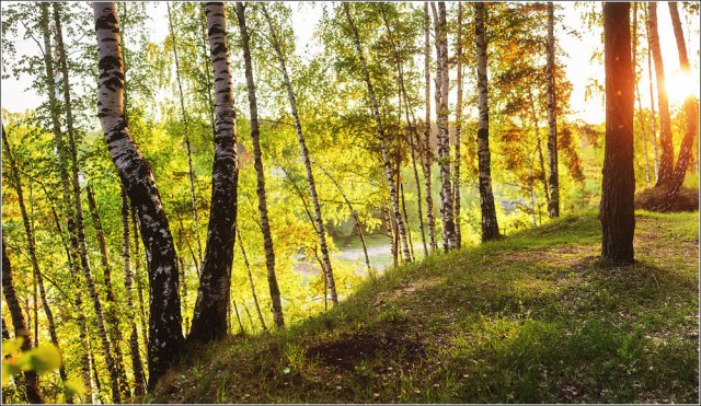 Просто Природа