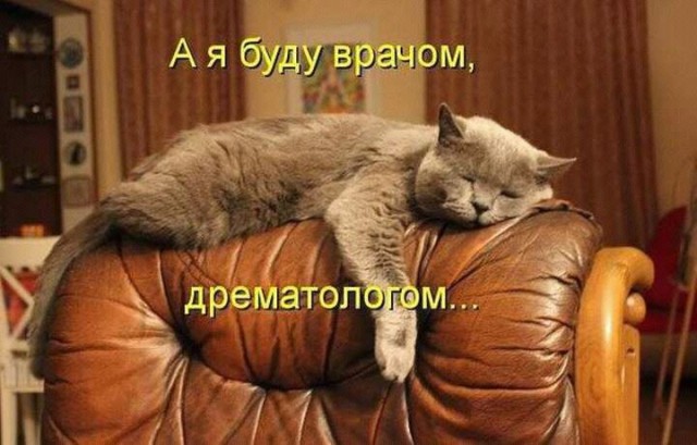 Медицинская деградация в живописных полотнах