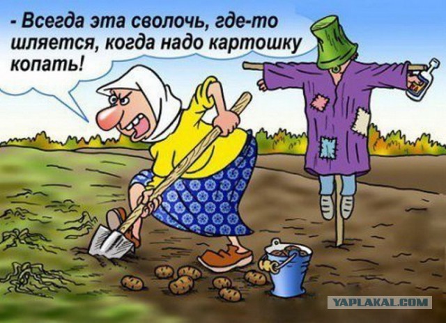 Приезжай к нам на дачу, пожарим сосисок, говорили они! Будет весело, говорили они!