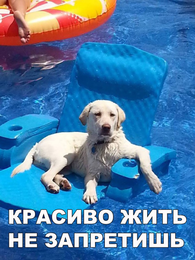 Нестандартный юмор